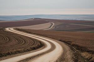 Winding dirt road through colorful fields photo