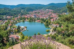 Panoramic view of a picturesque town nestled beside a serene lake, surrounded by lush forests and rolling hills photo