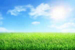 Lush green grass under a vibrant blue sky photo