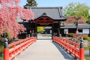 Japanese Gate with Cherry Blossoms and Bridge photo