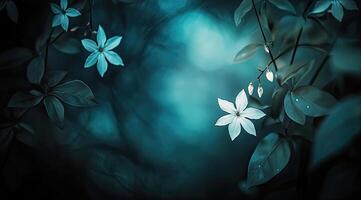 Delicate white flowers in a teal-toned forest setting photo