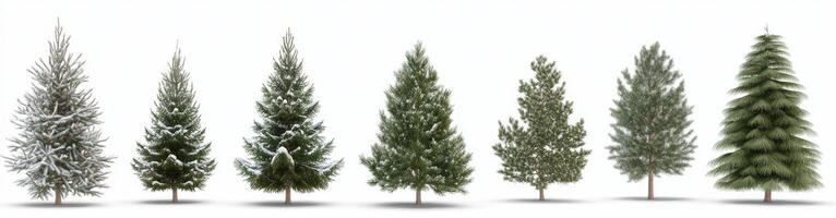 Winter Trees in Various Stages of Growth photo