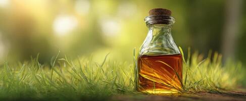 The glass bottle filled with amber liquid resting on green grass in sunlight. photo
