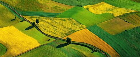 The vibrant patchwork of agricultural fields in beautiful green and yellow hues. photo