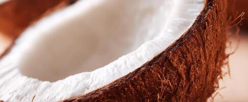The Coconut Half Showcasing Its Fresh, Creamy Interior and Rustic Texture photo