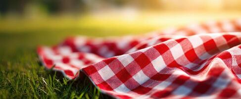 The Cozy Checkered Blanket on Green Grass at a Relaxing Picnic photo