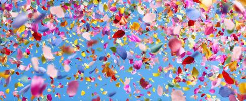 The vibrant petals gracefully falling against a clear blue sky photo