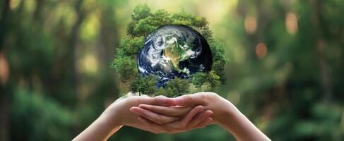 The hands cradling the earth surrounded by lush greenery in nature. photo