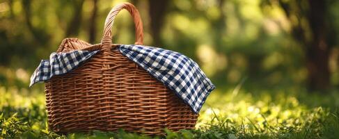 The wicker picnic basket surrounded by lush green scenery in natural sunlight. photo