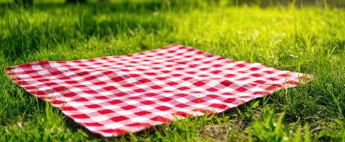 The vibrant picnic blanket spread across lush green grass in a sunny setting. photo
