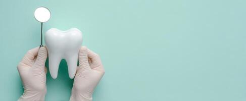 The dental examination with a model tooth and mirror in hand. photo