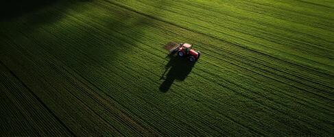 The tractor working on a vibrant green agricultural field under sunlight photo