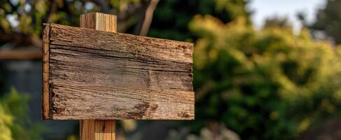 The wooden signpost inviting exploration in a serene outdoor setting. photo