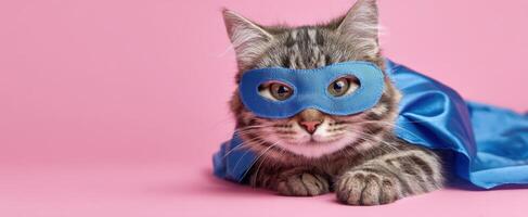 The adorable cat in a superhero costume relaxing on a pink backdrop. photo
