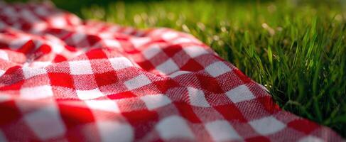 The checkered picnic blanket on lush green grass under the warm sunlight. photo