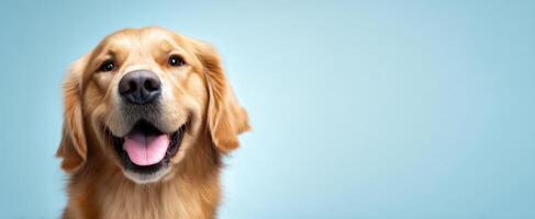 The smiling golden retriever dog with a joyful expression against a pastel background. photo