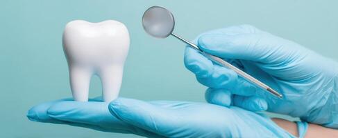 The dentist's hand showcasing a large tooth model with examination tool. photo
