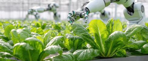 The robotic hand delicately harvests fresh lettuce in a futuristic greenhouse setting. photo