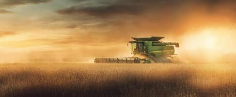 The agricultural combine harvester in a golden sunset landscape. photo