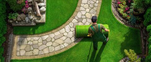 The gardener rolls out fresh turf on a beautifully landscaped pathway. photo