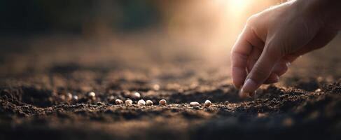 The hand planting seeds into rich, fertile soil for future growth. photo