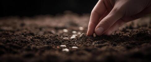 The act of planting seeds into rich moist soil by a caring hand. photo