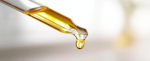 The droplet of golden essential oil captured in a glass pipette. photo