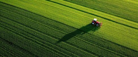 The tractor plowing a lush green field under warm sunlight. photo