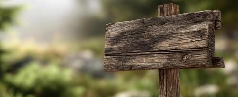 The rustic wooden signpost in a tranquil forest setting. photo