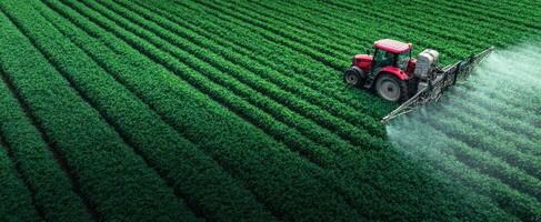 The tractor spraying pesticide over lush green fields of crops. photo