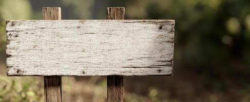 The rustic wooden sign blank for custom messages in a natural setting. photo