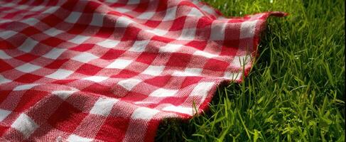 The vibrant red and white checkered picnic blanket on lush green grass photo