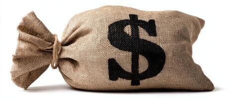The burlap sack filled with dollar signs representing wealth and prosperity. photo