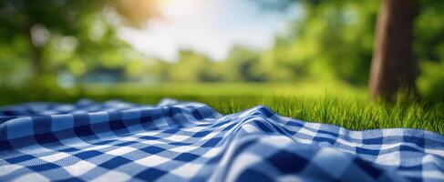 The beautiful blue checkered picnic blanket in a tranquil green park. photo