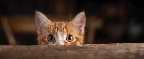 The curious orange cat peeking over a wooden surface with wide eyes. photo