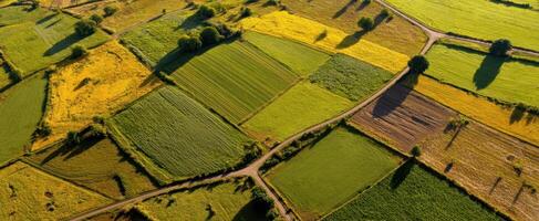 The Aerial View of Vibrant Patchwork Fields in Lush Countryside photo
