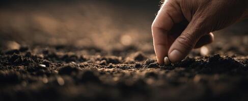 The hand planting seeds into fertile soil for future growth and nourishment. photo