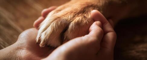 The Hand Holding the Paw of a Loving Dog in a Heartfelt Moment photo