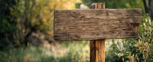 The rustic wooden sign in a serene natural setting with beautiful greenery. photo