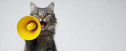 The playful cat joyfully uses a yellow megaphone to express itself. photo