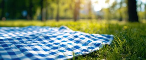 The picnic blanket resting on the lush green grass in a sunlit park. photo