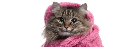 The adorable cat wrapped in a pink towel showcasing cute expressions. photo