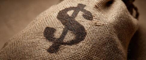 The burlap sack featuring a dollar sign symbolizes financial growth and wealth. photo