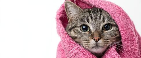 The adorable cat wrapped in a pink towel, showcasing its curious expression. photo