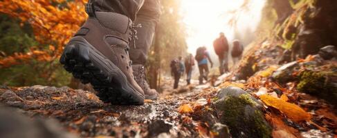 The hikers' journey through a vibrant autumn forest trail. photo