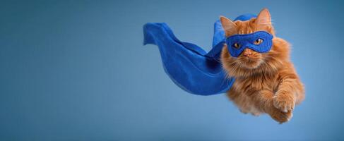 The heroic cat soaring through the air in a vibrant blue cape and mask. photo
