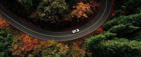 The car navigating a winding road through vibrant autumn foliage. photo