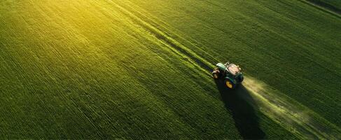 The tractor working diligently across a vast green field in golden sunlight. photo