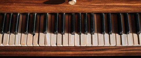 The Classic Piano Keys Showcased in Warm Natural Light photo