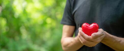 The heart held gently in hands against a vibrant natural backdrop photo